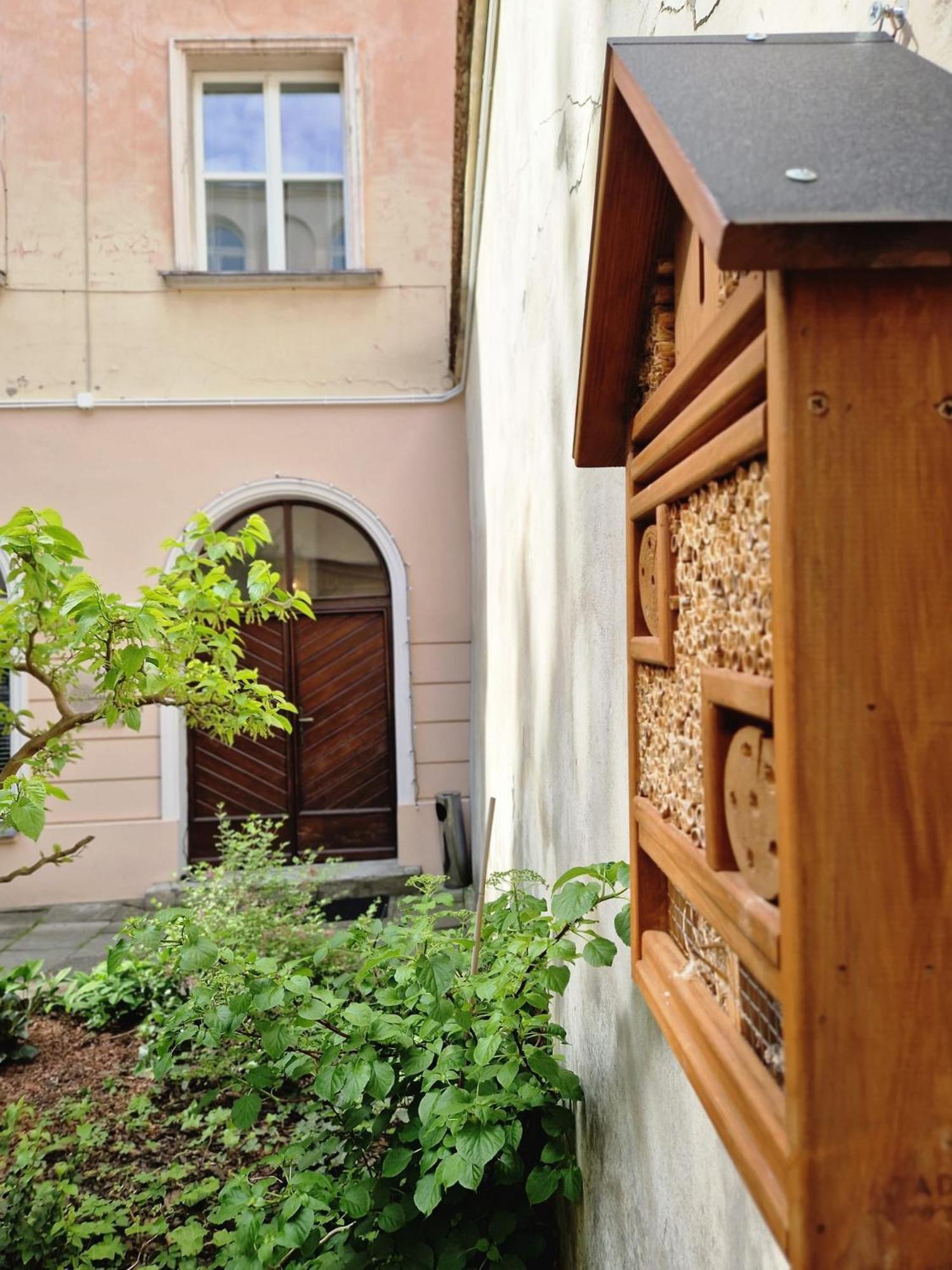 Brokilon House Apartment Krakow Ngoại thất bức ảnh