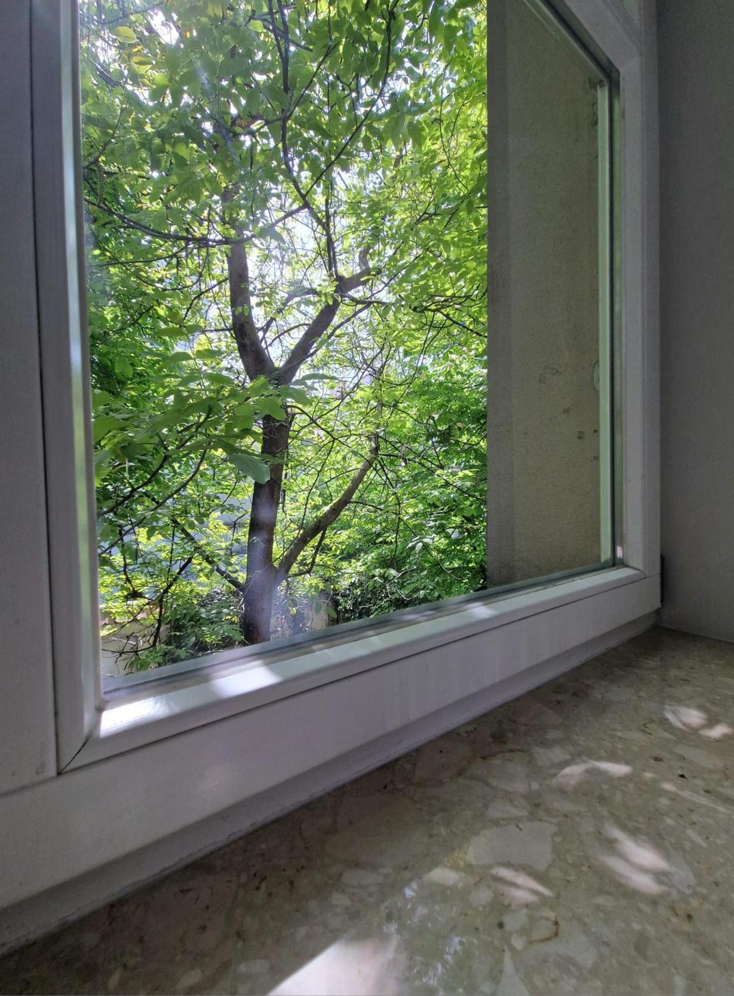 Brokilon House Apartment Krakow Ngoại thất bức ảnh
